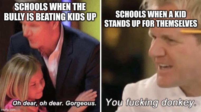 Schools in a nutshell | SCHOOLS WHEN A KID STANDS UP FOR THEMSELVES; SCHOOLS WHEN THE BULLY IS BEATING KIDS UP | image tagged in gordan ramsey with kids | made w/ Imgflip meme maker