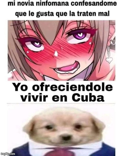 8yrn3z.jpg