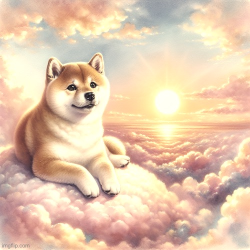 the dog of wisdom | image tagged in the dog of wisdom | made w/ Imgflip meme maker
