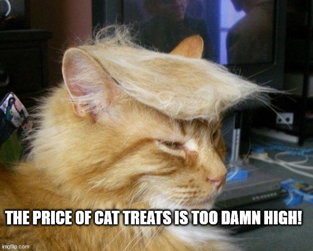 My Orange Cat is getting Political | THE PRICE OF CAT TREATS IS TOO DAMN HIGH! | image tagged in cats,inflation | made w/ Imgflip meme maker