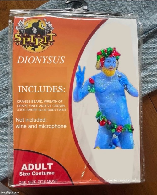 Dionysus costume | image tagged in spirit halloween | made w/ Imgflip meme maker