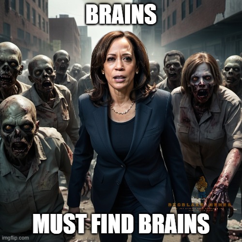 BRAINS; MUST FIND BRAINS | made w/ Imgflip meme maker