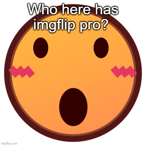 wowzers | Who here has imgflip pro? | image tagged in wowzers | made w/ Imgflip meme maker