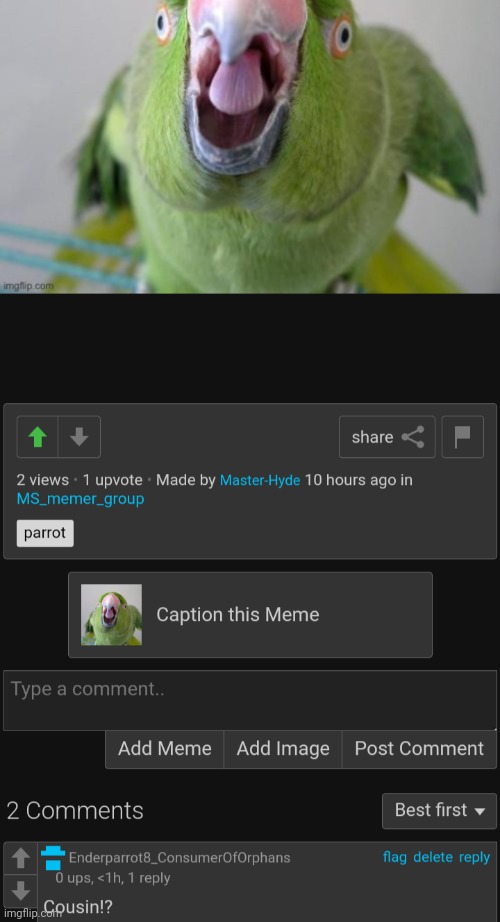made w/ Imgflip meme maker
