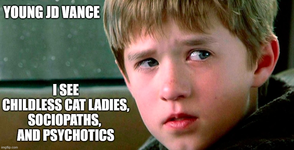 A Weird Sixth Sense! JD Vance also called the childless ‘Sociopaths’ and ‘Psychotic’ | YOUNG JD VANCE; I SEE
CHILDLESS CAT LADIES,
SOCIOPATHS, 
AND PSYCHOTICS | image tagged in jd vance,cat ladies,sociopath,psychotic,sixth sense,weird | made w/ Imgflip meme maker
