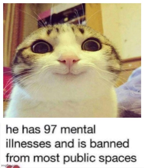 he has 97 mental illnesses | image tagged in he has 97 mental illnesses | made w/ Imgflip meme maker