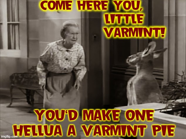 COME HERE YOU,
              LITTLE 
                 VARMINT! YOU'D MAKE ONE HELLUA A VARMINT PIE | made w/ Imgflip meme maker