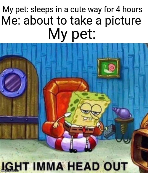 Spongebob Ight Imma Head Out Meme | My pet: sleeps in a cute way for 4 hours; Me: about to take a picture; My pet: | image tagged in memes,spongebob ight imma head out | made w/ Imgflip meme maker