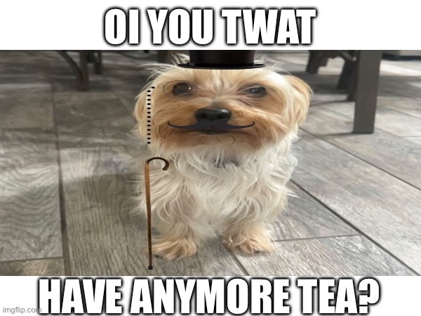 OI YOU TWAT; HAVE ANYMORE TEA? | made w/ Imgflip meme maker