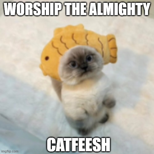 CATFEESH | WORSHIP THE ALMIGHTY; CATFEESH | image tagged in catfeesh | made w/ Imgflip meme maker