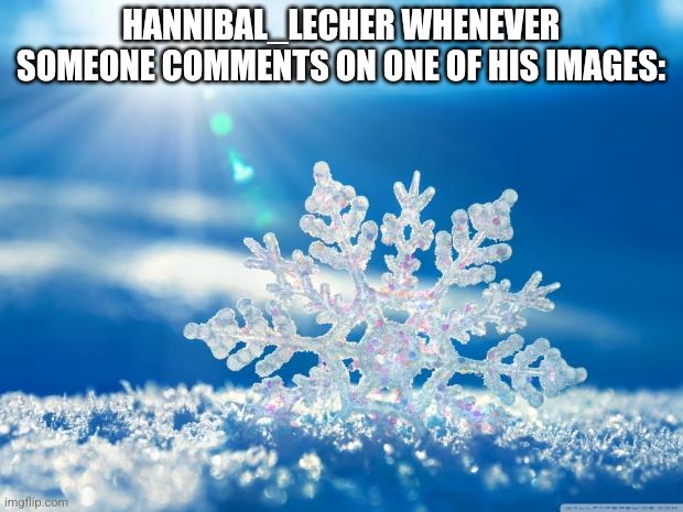 snowflake | HANNIBAL_LECHER WHENEVER SOMEONE COMMENTS ON ONE OF HIS IMAGES: | image tagged in snowflake | made w/ Imgflip meme maker