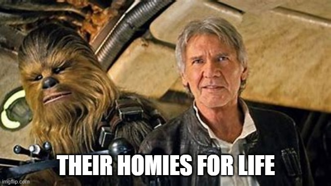 THEIR HOMIES FOR LIFE | image tagged in star wars,han solo,chewie | made w/ Imgflip meme maker