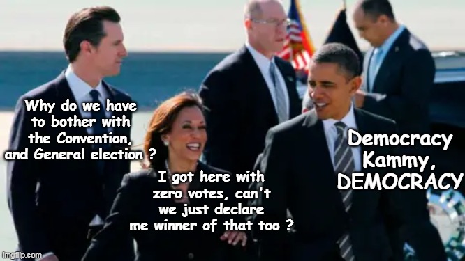 If it wasn't for the donations, they probably would at least try | Why do we have to bother with the Convention, and General election ? Democracy Kammy, DEMOCRACY; I got here with zero votes, can't we just declare me winner of that too ? | image tagged in kamala zero votes potus meme | made w/ Imgflip meme maker