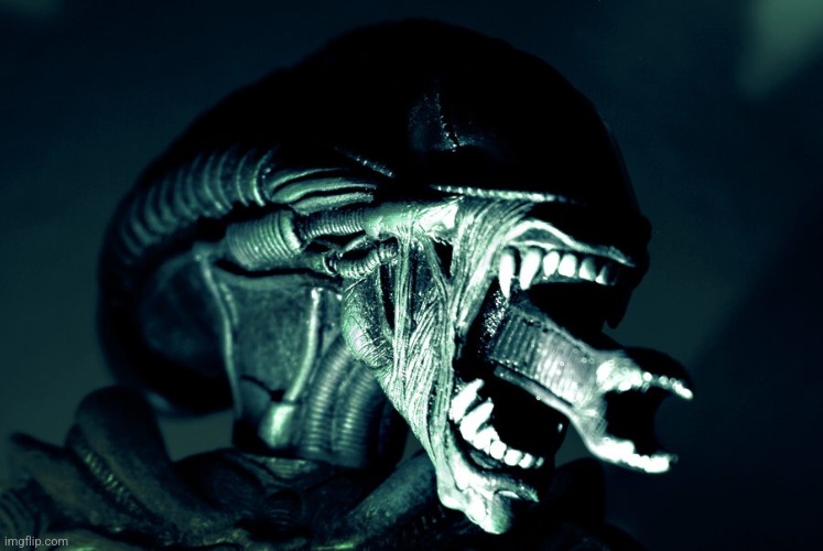 Xenomorph Parenting | image tagged in xenomorph parenting | made w/ Imgflip meme maker