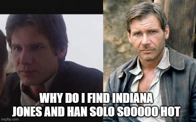 I think it Harrison Ford. (Am I the only one who finds young Harrison Ford hot?) | WHY DO I FIND INDIANA JONES AND HAN SOLO SOOOOO HOT | made w/ Imgflip meme maker