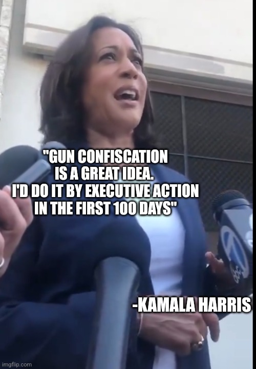 "GUN CONFISCATION IS A GREAT IDEA. 
I'D DO IT BY EXECUTIVE ACTION IN THE FIRST 100 DAYS"; -KAMALA HARRIS | image tagged in funny memes | made w/ Imgflip meme maker