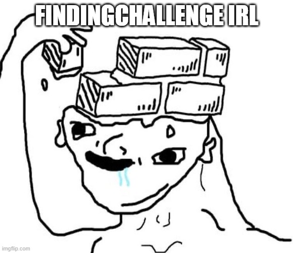 Brainlet Wojak | FINDINGCHALLENGE IRL | image tagged in brainlet wojak | made w/ Imgflip meme maker