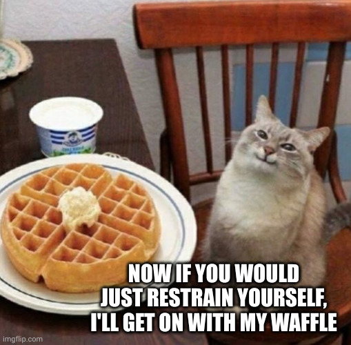 Cat likes their waffle | NOW IF YOU WOULD JUST RESTRAIN YOURSELF, I'LL GET ON WITH MY WAFFLE | image tagged in cat likes their waffle | made w/ Imgflip meme maker