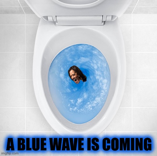 A BLUE WAVE IS COMING | made w/ Imgflip meme maker