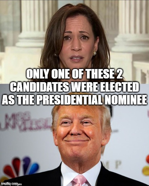 ONLY ONE OF THESE 2 CANDIDATES WERE ELECTED AS THE PRESIDENTIAL NOMINEE | image tagged in kamala harris,donald trump approves | made w/ Imgflip meme maker