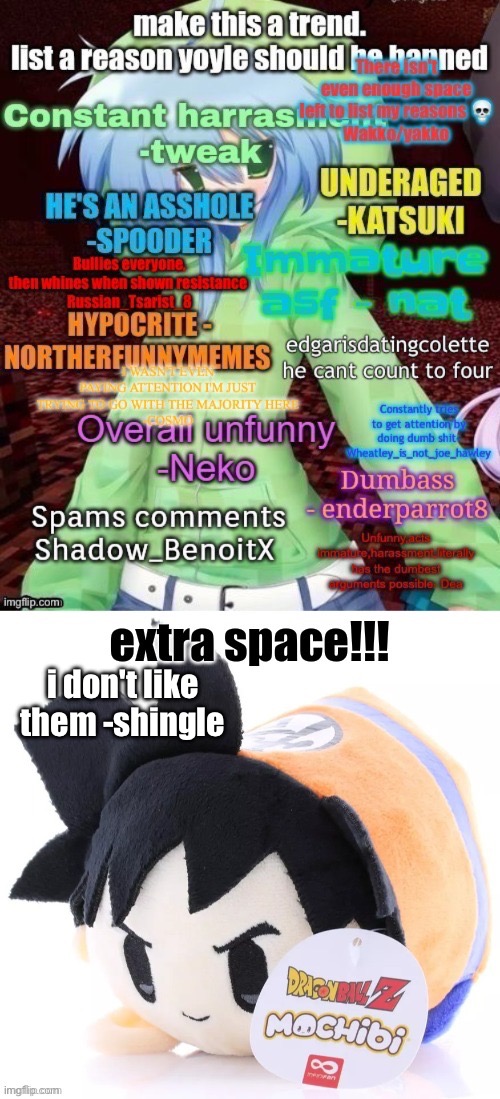 i don't like them -shingle | made w/ Imgflip meme maker