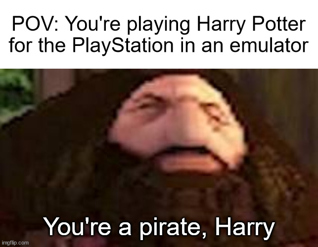 You're a pirate, Harry | POV: You're playing Harry Potter for the PlayStation in an emulator; You're a pirate, Harry | image tagged in white header,ps1 hagrid,harry potter,piracy,playstation | made w/ Imgflip meme maker