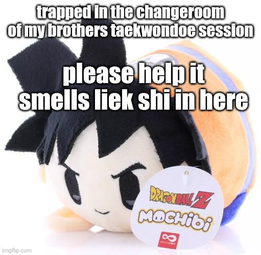 Radium would smash this | trapped in the changeroom of my brothers taekwondoe session; please help it smells liek shi in here | image tagged in radium would smash this | made w/ Imgflip meme maker