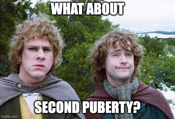 Second Breakfast | WHAT ABOUT; SECOND PUBERTY? | image tagged in second breakfast | made w/ Imgflip meme maker