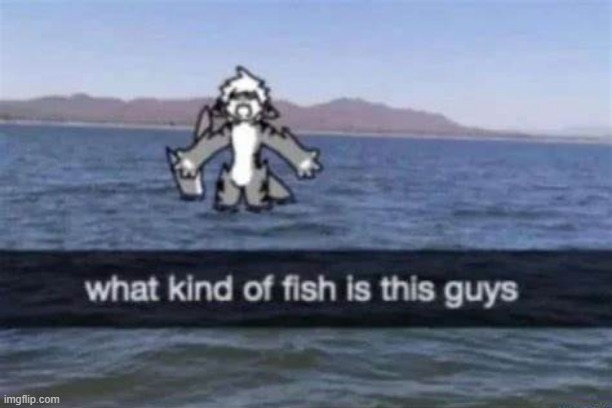 potentially a salmon | made w/ Imgflip meme maker