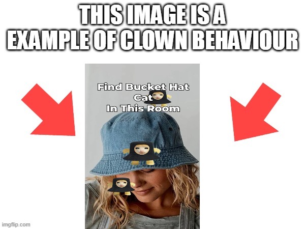 This image is a example of clown behaviour | image tagged in this image is a example of clown behaviour | made w/ Imgflip meme maker