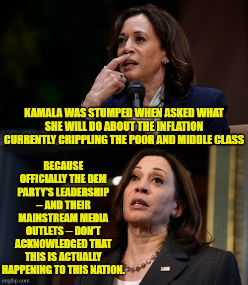 Should have been studying and learning how to BE president, Kamala. | BECAUSE OFFICIALLY THE DEM PARTY'S LEADERSHIP -- AND THEIR MAINSTREAM MEDIA OUTLETS -- DON'T ACKNOWLEDGED THAT THIS IS ACTUALLY HAPPENING TO THIS NATION. KAMALA WAS STUMPED WHEN ASKED WHAT SHE WILL DO ABOUT THE INFLATION CURRENTLY CRIPPLING THE POOR AND MIDDLE CLASS | image tagged in yep | made w/ Imgflip meme maker