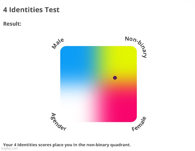 4 identities test | image tagged in lgbtq,gender,nonbinary,test | made w/ Imgflip meme maker