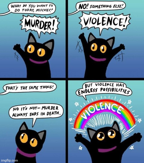 I agree with this cat and I wish to adopt it. | image tagged in cat,violence,msmg | made w/ Imgflip meme maker