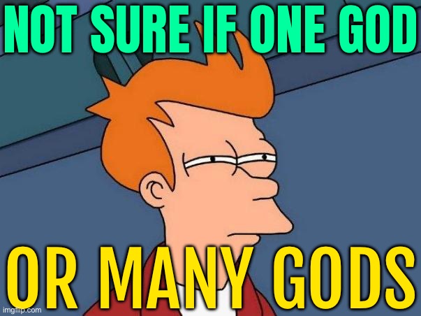 Not sure if one or many Gods | NOT SURE IF ONE GOD; OR MANY GODS | image tagged in skeptical fry,god,trinity,religion,anti-religion,god religion universe | made w/ Imgflip meme maker