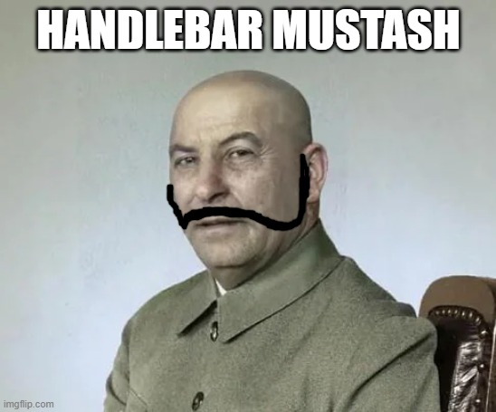 HANDLEBAR MUSTASH | made w/ Imgflip meme maker