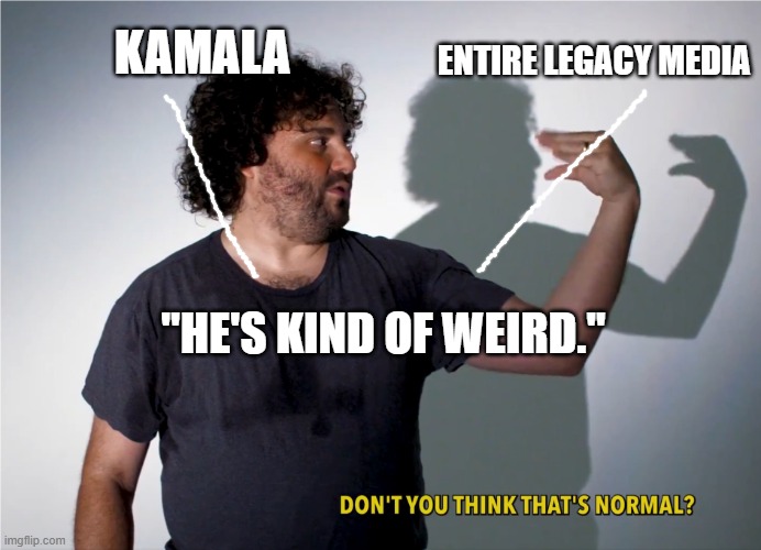 It's almost like they share talking points... | ENTIRE LEGACY MEDIA; KAMALA; "HE'S KIND OF WEIRD." | image tagged in crazy hand puppet kamala voter,conspiracy theory,mockingbird,collusion,kamala harris | made w/ Imgflip meme maker