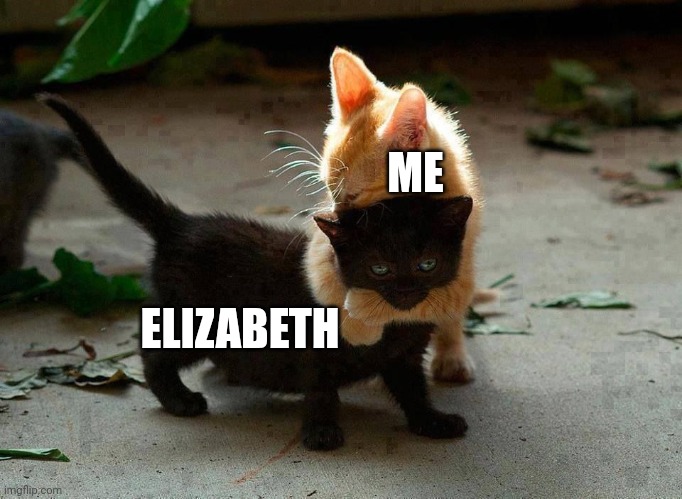 kitten hug | ME ELIZABETH | image tagged in kitten hug | made w/ Imgflip meme maker