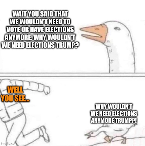 The goose got a point… | WAIT YOU SAID THAT WE WOULDN’T NEED TO VOTE OR HAVE ELECTIONS ANYMORE. WHY WOULDN’T WE NEED ELECTIONS TRUMP? WELL YOU SEE…; WHY WOULDN’T WE NEED ELECTIONS ANYMORE TRUMP?! | image tagged in goose chase,trump,project 2025,liar,democracy | made w/ Imgflip meme maker
