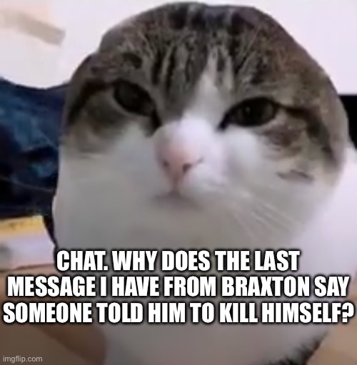 What the hell went down it devolved into someone telling him to kill himself? | CHAT. WHY DOES THE LAST MESSAGE I HAVE FROM BRAXTON SAY SOMEONE TOLD HIM TO KILL HIMSELF? | made w/ Imgflip meme maker