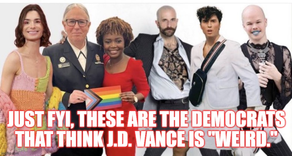 Weird | JUST FYI, THESE ARE THE DEMOCRATS THAT THINK J.D. VANCE IS "WEIRD." | image tagged in democrats,weird,kamala harris,d j vance | made w/ Imgflip meme maker