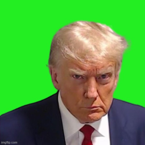 trump green screen | image tagged in green,screen | made w/ Imgflip meme maker