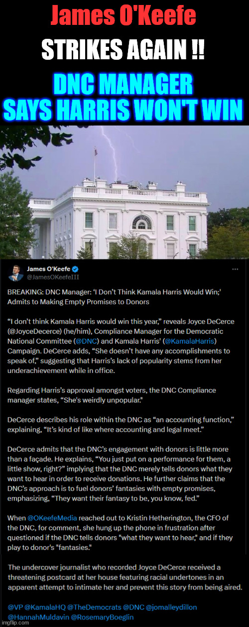 Kamala Harris won't win... She's clearly unpopular... | James O'Keefe; STRIKES AGAIN !! DNC MANAGER SAYS HARRIS WON'T WIN | image tagged in dnc,insider,tells truth about kamala,james okeefe,reveals the truth | made w/ Imgflip meme maker