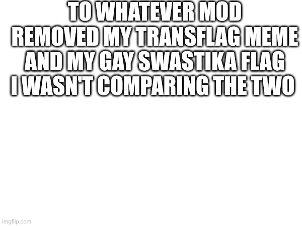 TO WHATEVER MOD REMOVED MY TRANSFLAG MEME AND MY GAY SWASTIKA FLAG I WASN'T COMPARING THE TWO | made w/ Imgflip meme maker