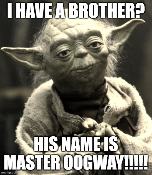 Star Wars Yoda | I HAVE A BROTHER? HIS NAME IS MASTER OOGWAY!!!!! | image tagged in memes,star wars yoda | made w/ Imgflip meme maker