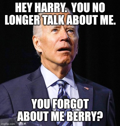 Joe Biden | HEY HARRY.  YOU NO LONGER TALK ABOUT ME. YOU FORGOT ABOUT ME BERRY? | image tagged in joe biden | made w/ Imgflip meme maker