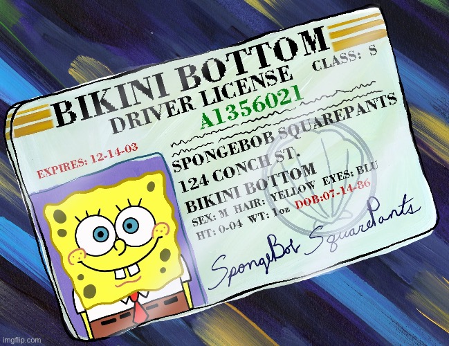 Spongebob Squarepants' Driver License | image tagged in spongebob squarepants' driver license | made w/ Imgflip meme maker