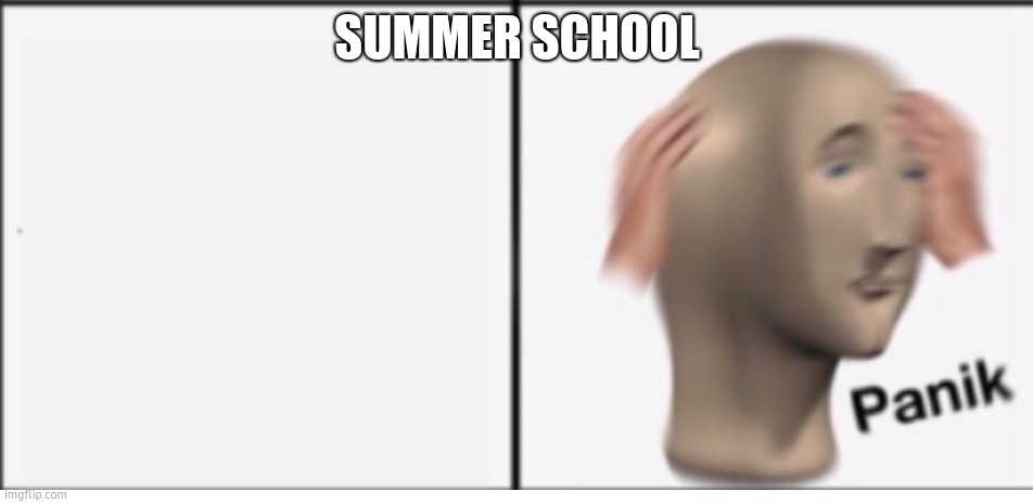 Panik only | SUMMER SCHOOL | image tagged in panik only | made w/ Imgflip meme maker