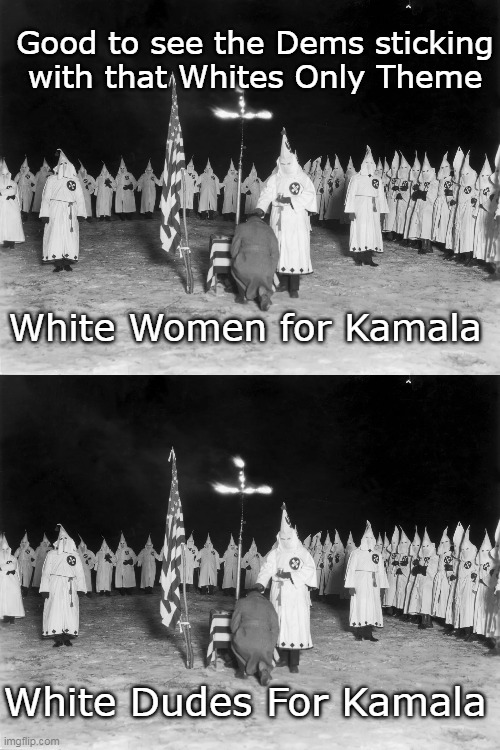 Old habits are hard to break | Good to see the Dems sticking with that Whites Only Theme; White Women for Kamala; White Dudes For Kamala | image tagged in whites only for kamala kkk meme | made w/ Imgflip meme maker