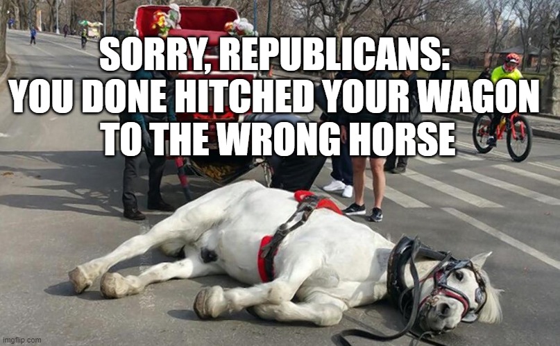 SORRY, REPUBLICANS: 
YOU DONE HITCHED YOUR WAGON 
TO THE WRONG HORSE | image tagged in trump,failure | made w/ Imgflip meme maker