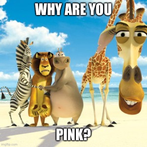 why are you white | WHY ARE YOU PINK? | image tagged in why are you white | made w/ Imgflip meme maker
